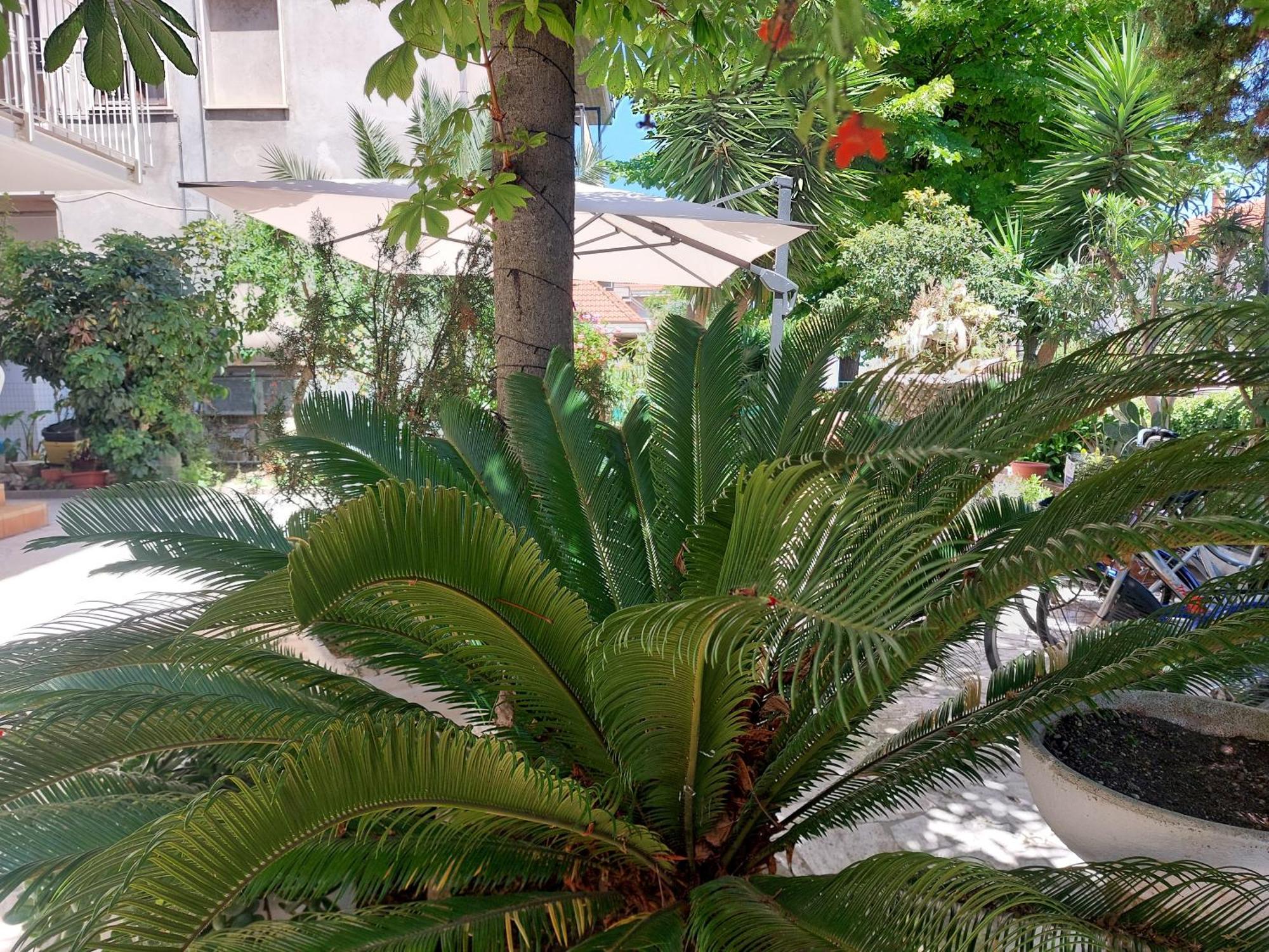 B&B La Fontanella San Benedetto del Tronto Eksteriør bilde